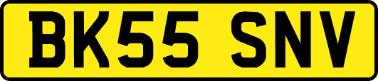 BK55SNV