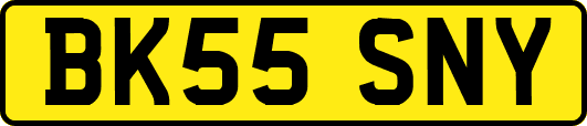 BK55SNY