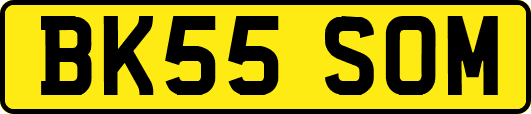 BK55SOM