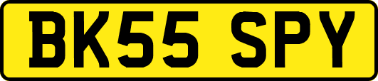 BK55SPY