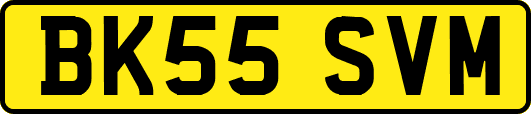 BK55SVM
