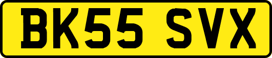 BK55SVX