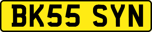 BK55SYN