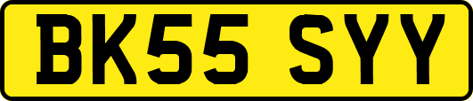 BK55SYY