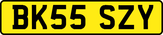 BK55SZY
