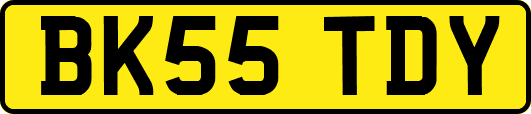 BK55TDY