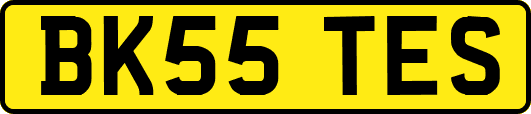BK55TES