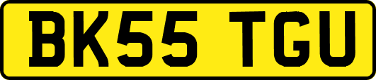 BK55TGU