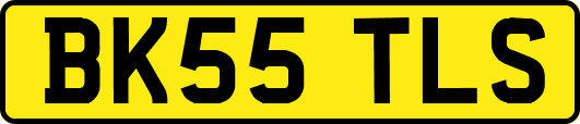 BK55TLS