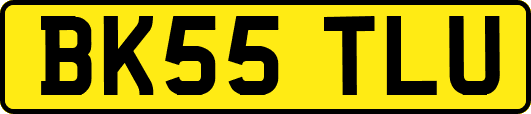 BK55TLU
