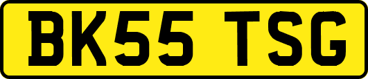 BK55TSG