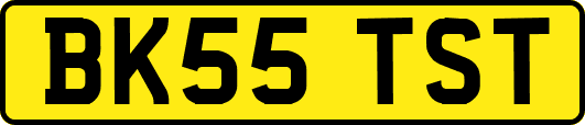 BK55TST