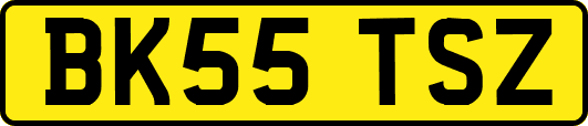BK55TSZ
