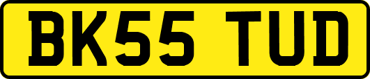 BK55TUD