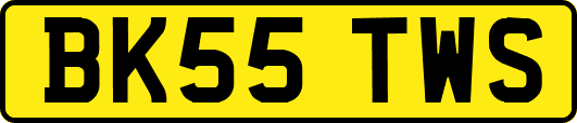 BK55TWS