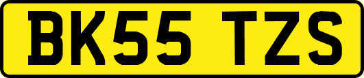 BK55TZS