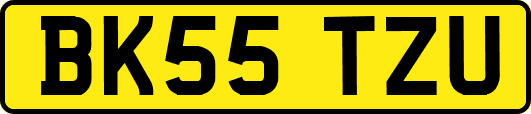 BK55TZU