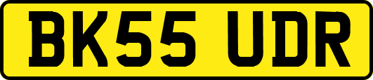 BK55UDR