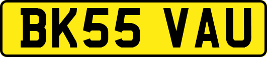 BK55VAU