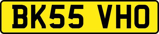 BK55VHO