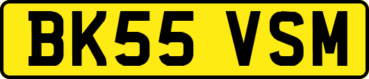 BK55VSM