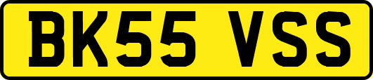 BK55VSS