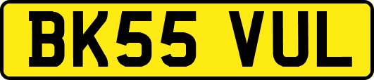 BK55VUL