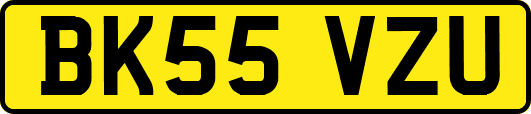 BK55VZU
