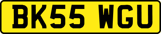 BK55WGU