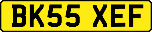 BK55XEF