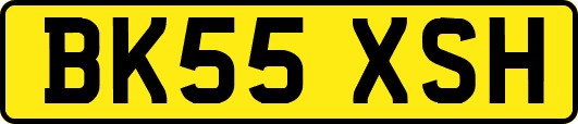 BK55XSH