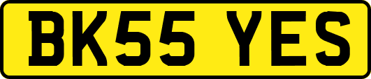 BK55YES