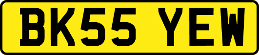 BK55YEW