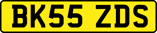 BK55ZDS