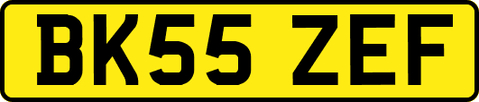 BK55ZEF