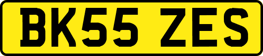 BK55ZES