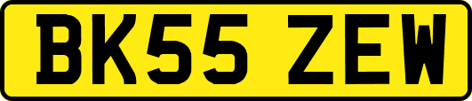 BK55ZEW