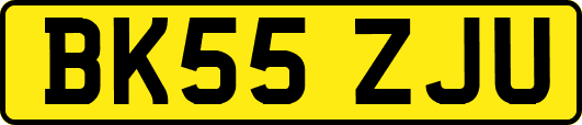 BK55ZJU