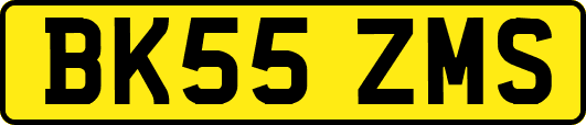 BK55ZMS