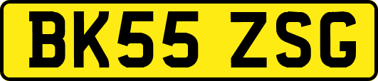 BK55ZSG