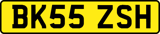 BK55ZSH