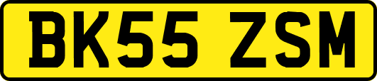 BK55ZSM