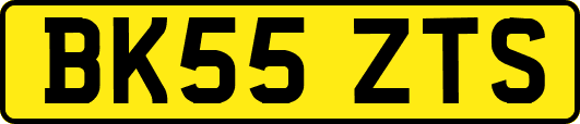 BK55ZTS