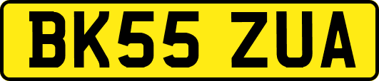 BK55ZUA