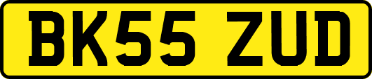 BK55ZUD