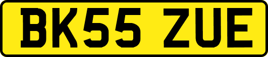 BK55ZUE