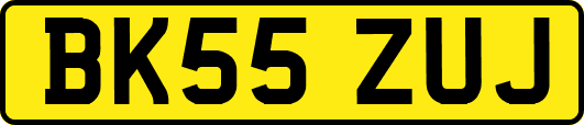 BK55ZUJ