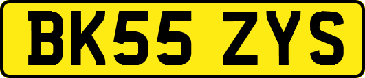BK55ZYS