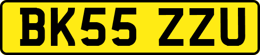 BK55ZZU