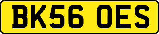 BK56OES